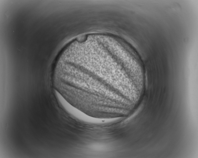 X0000088081501200706081719