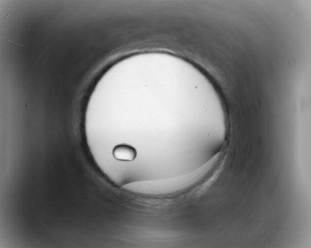 X0000088081502200706081719