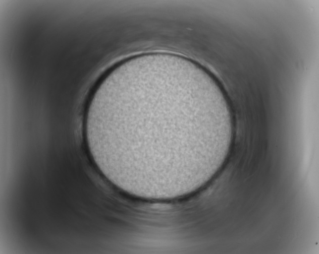 X0000088081503200706081719