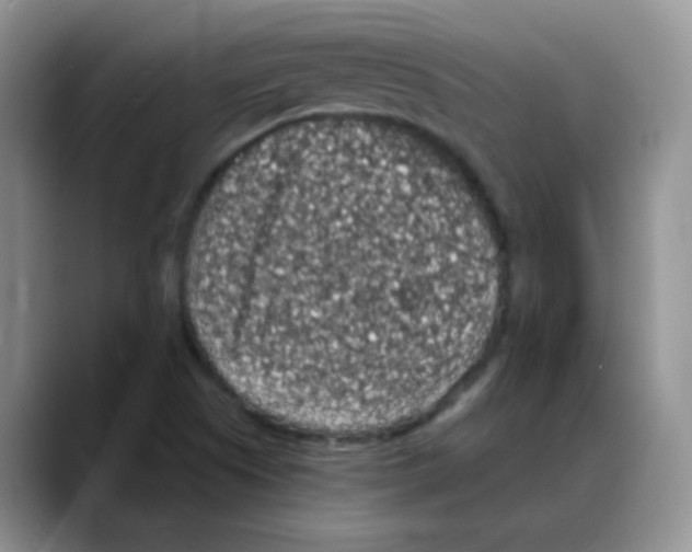 X0000088081505200706081719