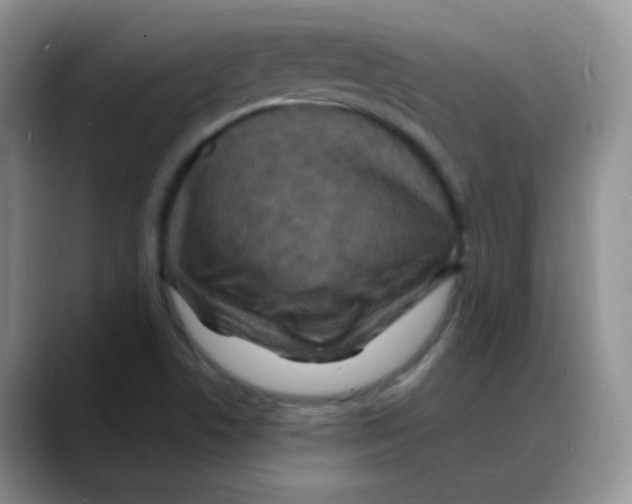X0000088081506200706081719