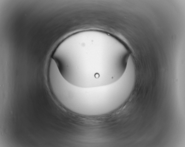 X0000088081508200706081719