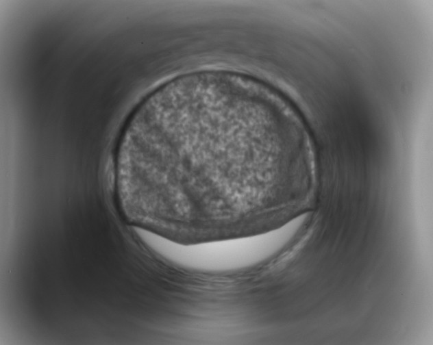 X0000088081509200706081719