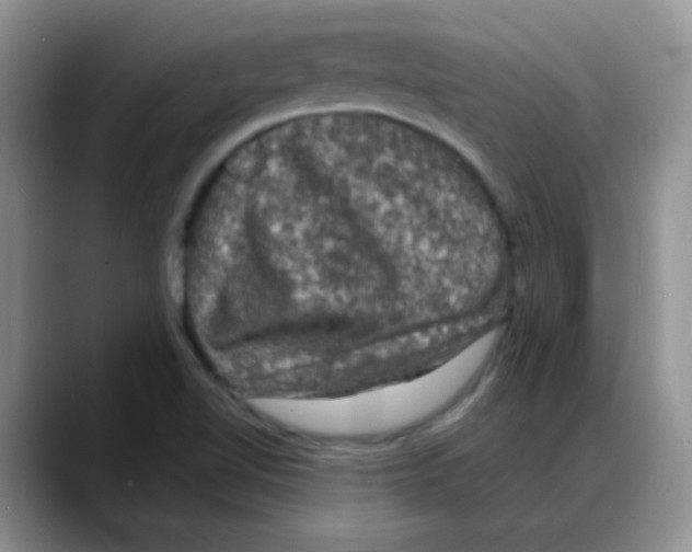 X0000088081510200706081719