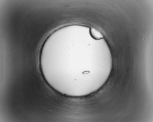 X0000088081512200706081719