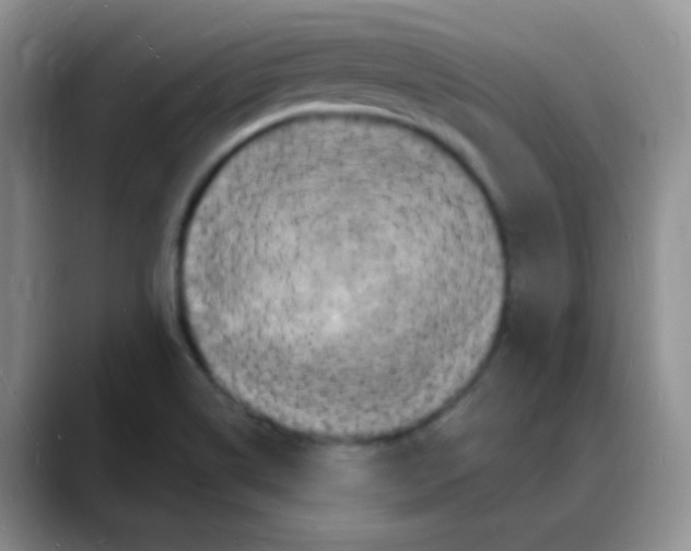 X0000088081514200706081719