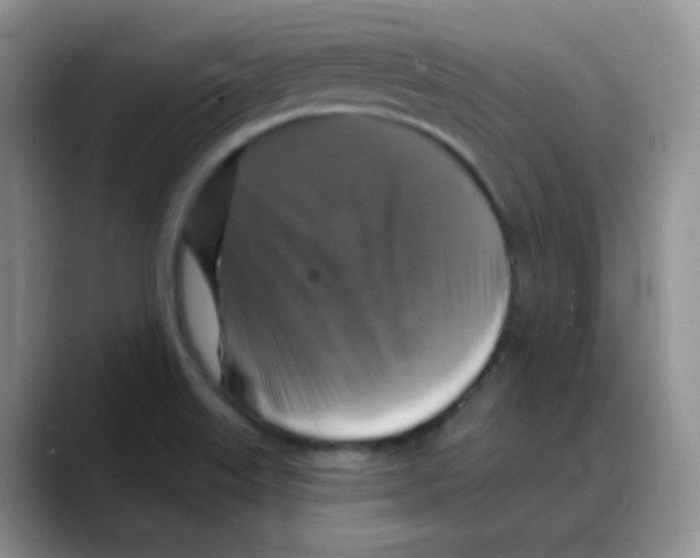 X0000088081515200706081719