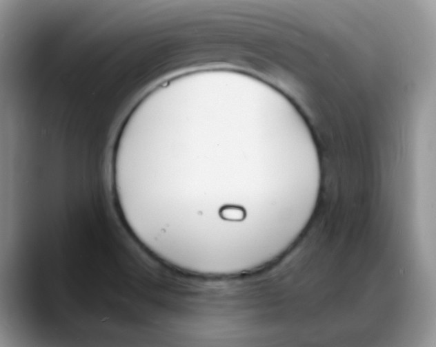 X0000088081516200706081719