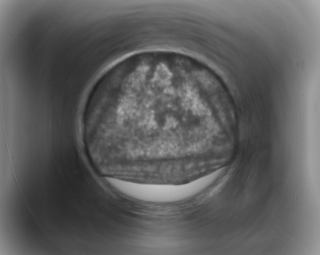 X0000088081517200706081719