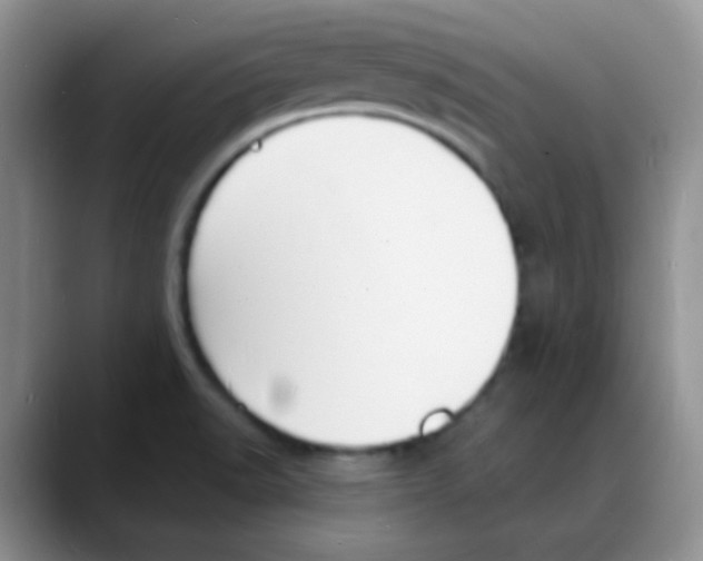 X0000088081518200706081719