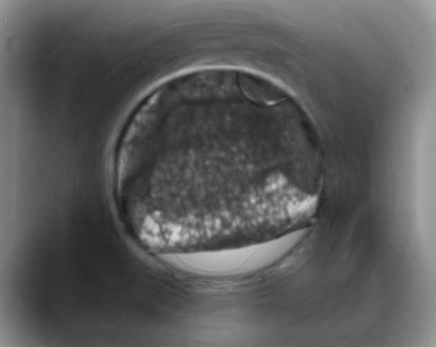 X0000088081519200706081719