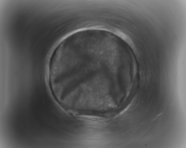 X0000088081520200706081719