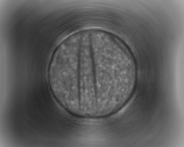 X0000088081521200706081719