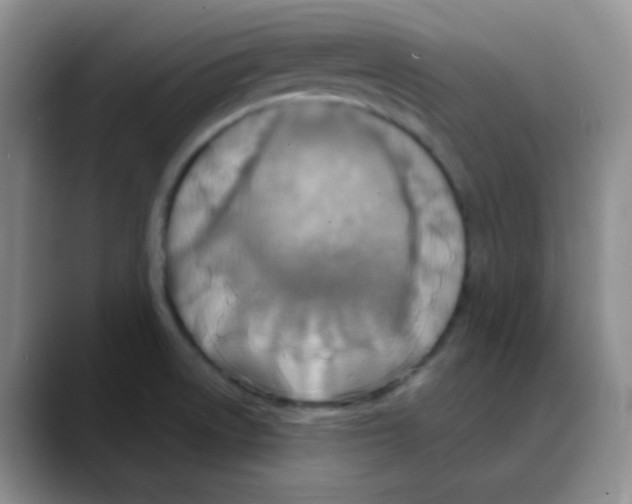 X0000088081522200706081719