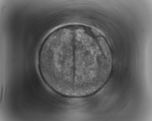 X0000088081523200706081719