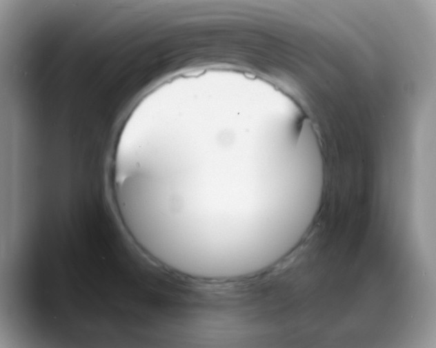 X0000088081524200706081719