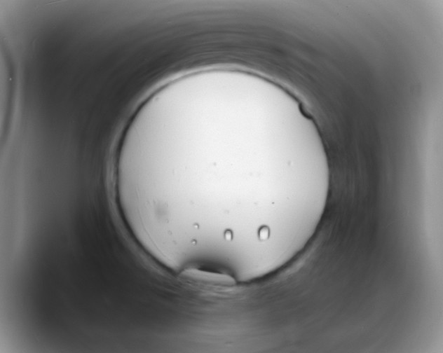 X0000088081526200706081719