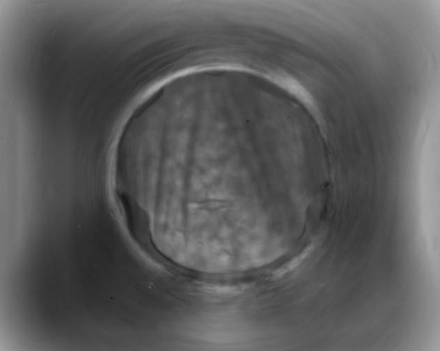 X0000088081528200706081719