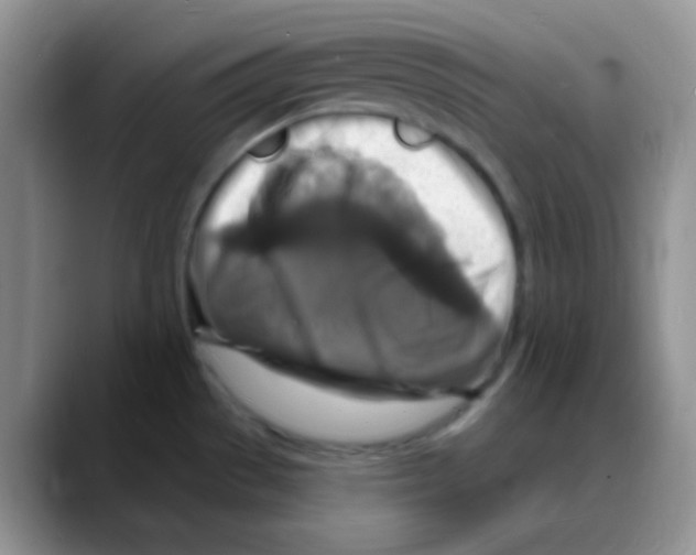 X0000088081529200706081719