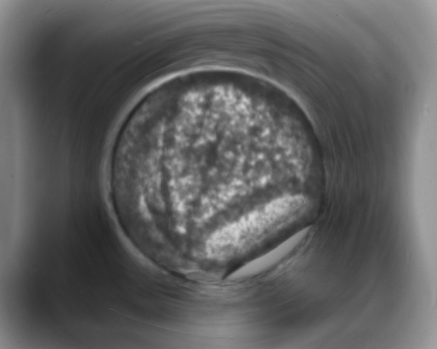 X0000088081531200706081719