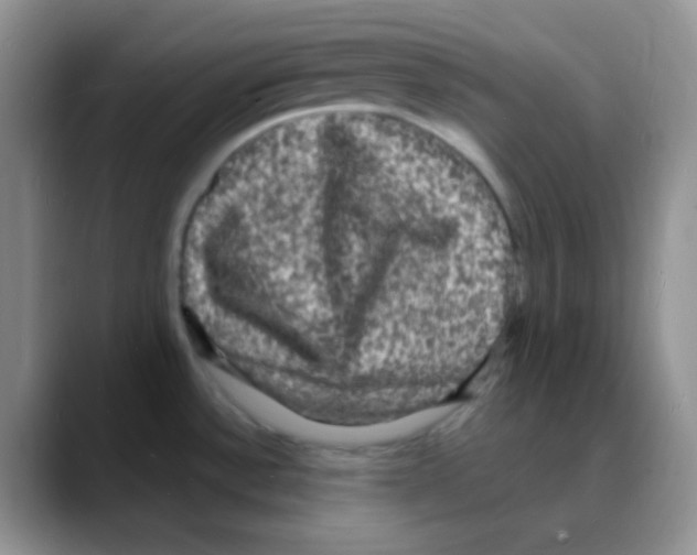 X0000088081532200706081719