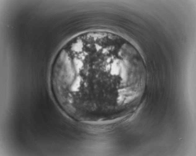 X0000088081533200706081719