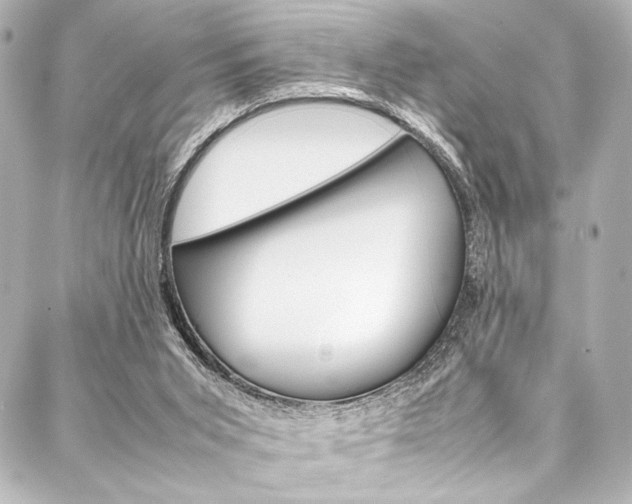 X0000088090015200705111113
