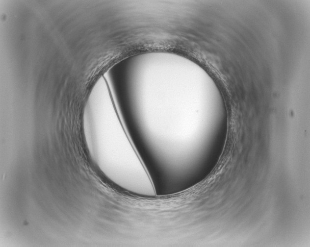 X0000088090017200705111113