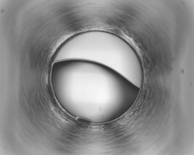 X0000088090060200705111112