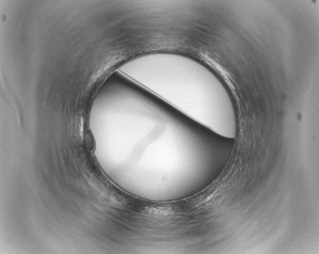 X0000088090067200705111112