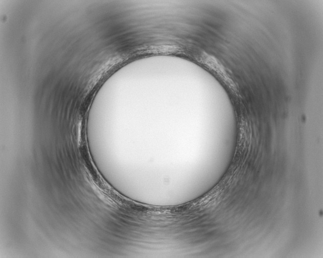 X0000088090110200705111112