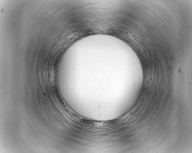X0000088090130200705111112