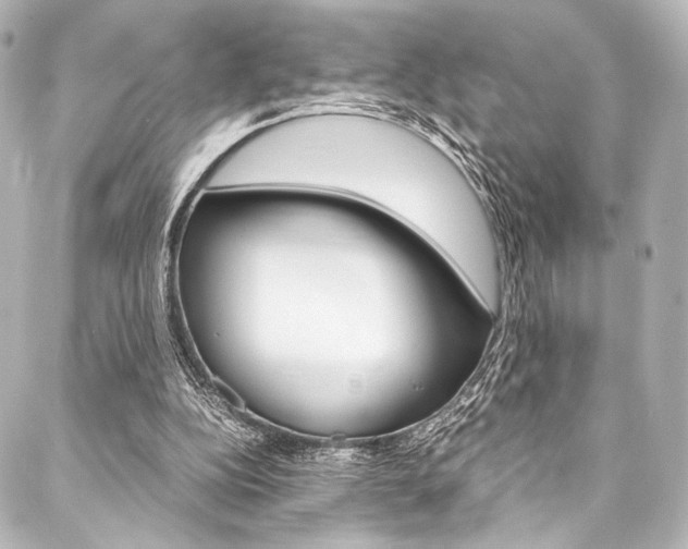 X0000088090152200705111111