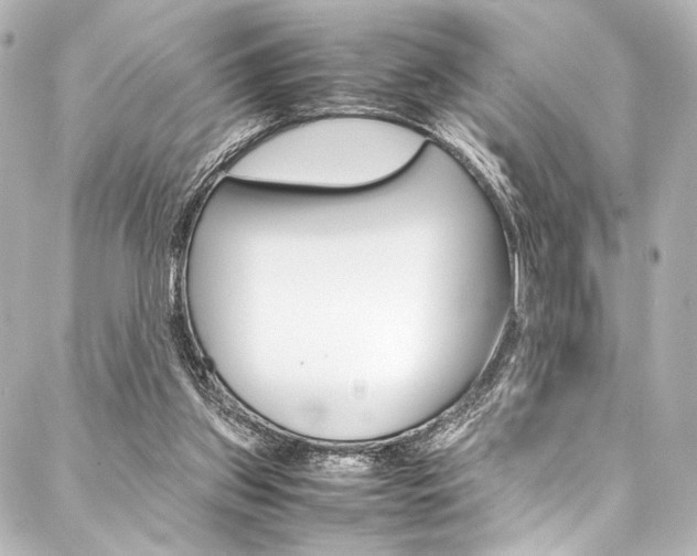 X0000088090157200705111111