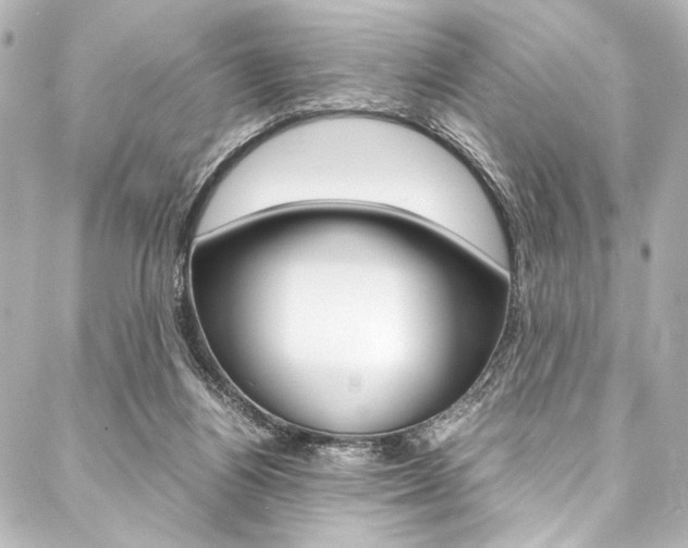 X0000088090164200705111111