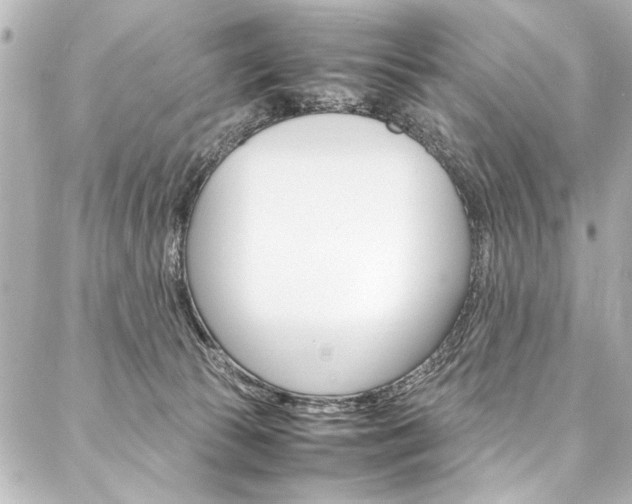 X0000088090177200705111111
