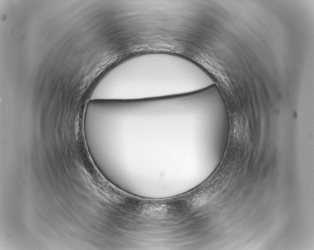 X0000088090206200705111110