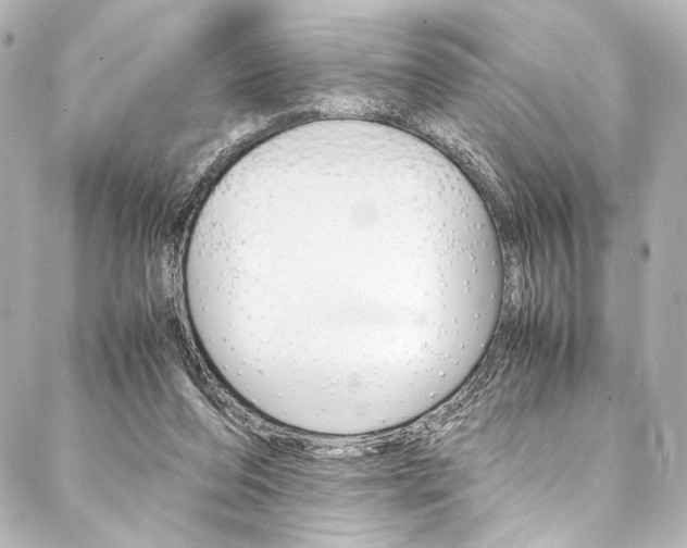 X0000088090208200705111110