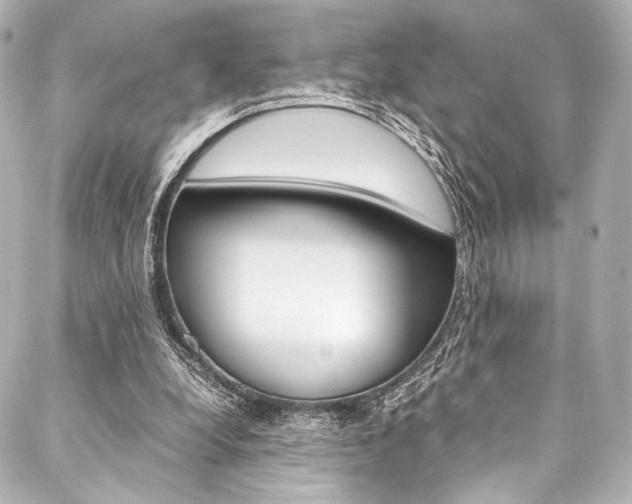 X0000088090248200705111109