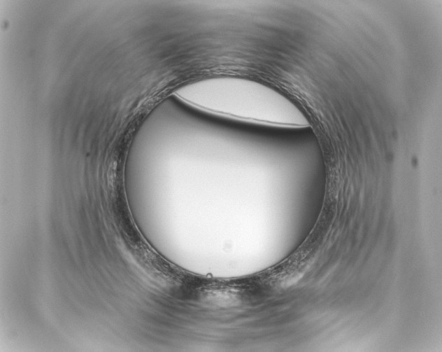 X0000088090263200705111109