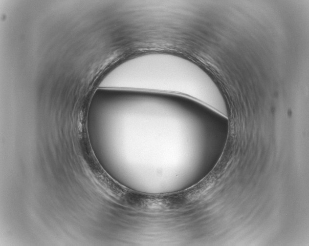 X0000088090264200705111109