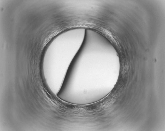 X0000088090299200705111109