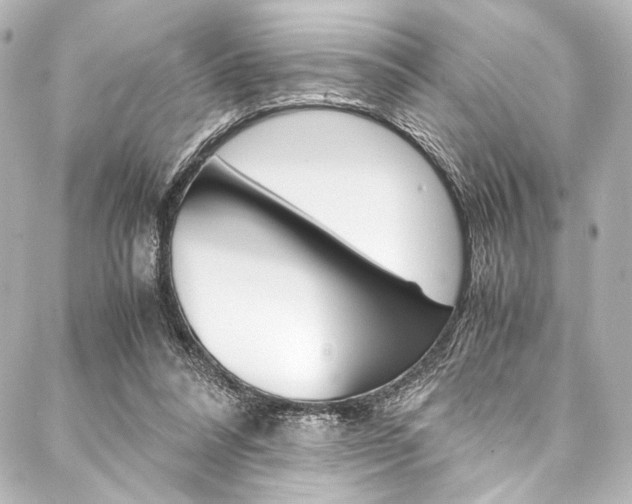 X0000088090304200705111109