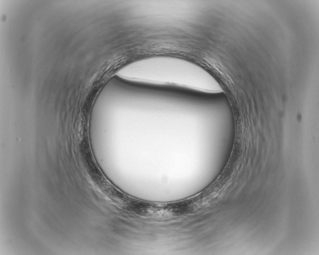 X0000088090311200705111109