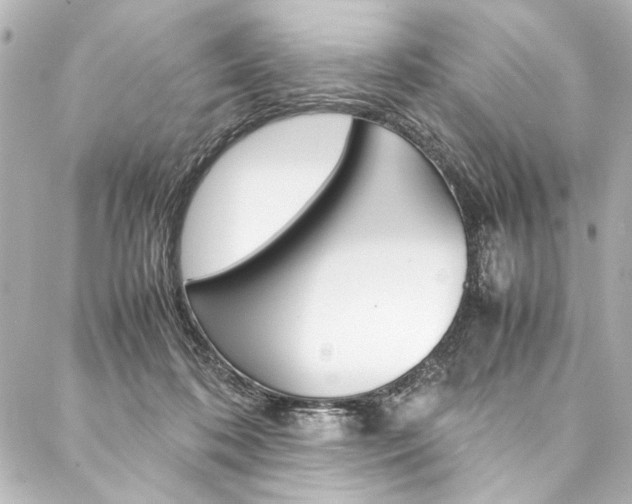 X0000088090316200705111108