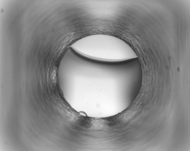 X0000088090336200705111108