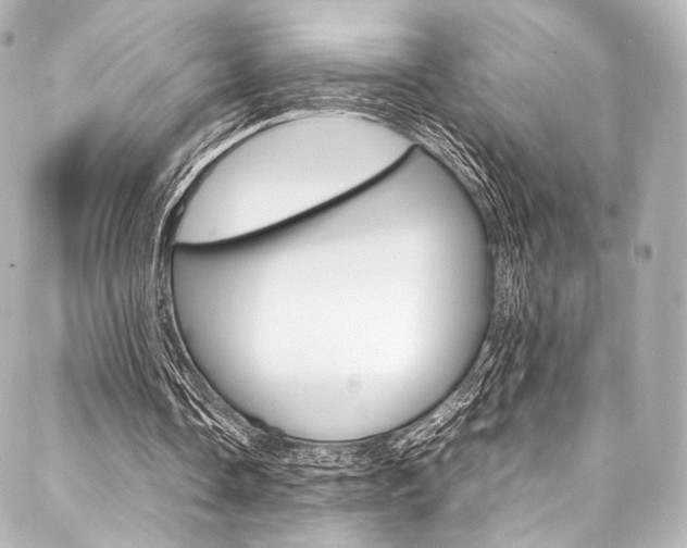 X0000088090338200705111107
