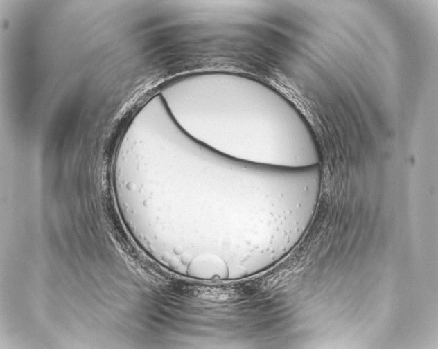 X0000088090347200705111108