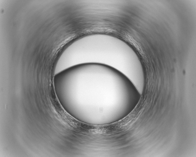 X0000088090356200705111108