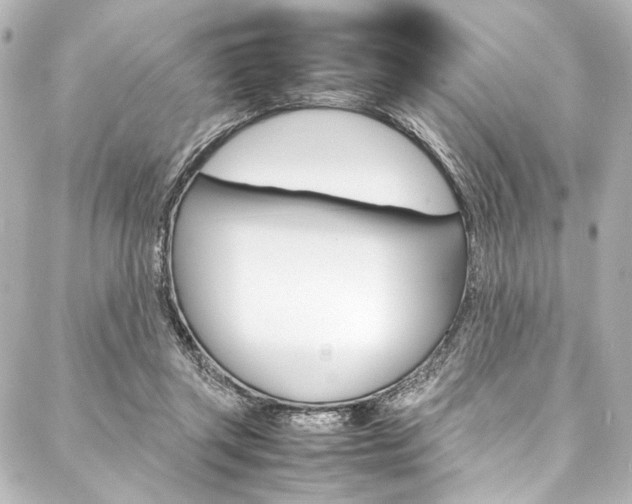 X0000088090357200705111108